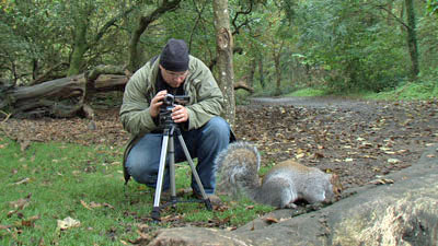 filming squirrel